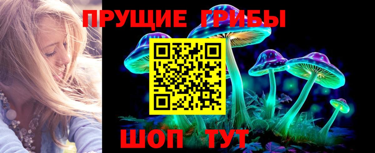 Псилоцибиновые грибы Psilocybine cubensis  Вход с VPN  Анапа  Галлюциногенные грибы Psilocybe 