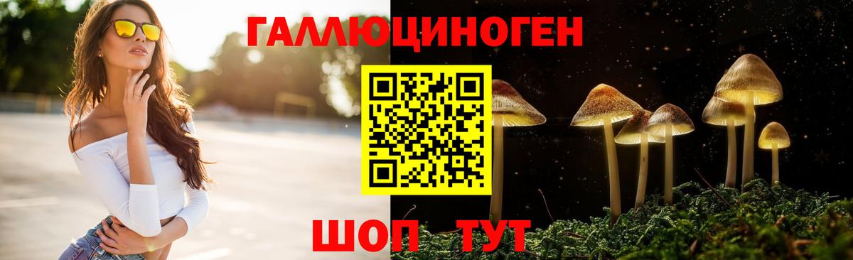 Псилоцибиновые грибы ЛСД Анапа